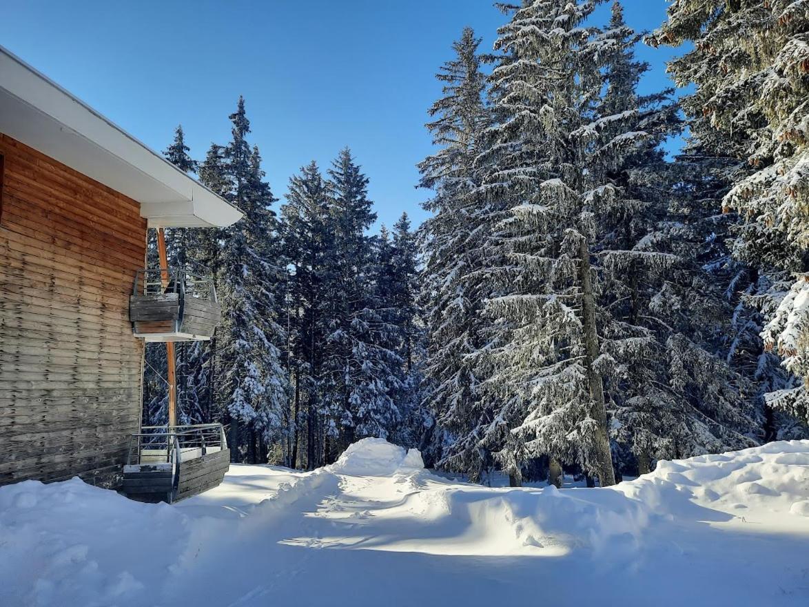 La Petite Foret Chamrousse 1700 Exterior foto
